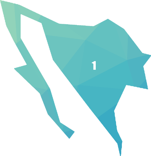 anonimo